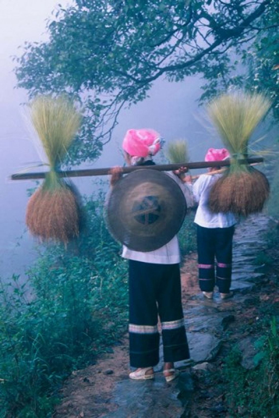 Zhuang Girls Carrying Hay China Canvas Art - Keren Su DanitaDelimont (24 x 36)