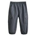 thumbnail image 1 of Zhuashum Baseball Pants Youth Boys 18-24 Months Toddler Summer Trousers Printed Cargo Pants For Children Clothes Cute Boy Clothes Grey, 1 of 3
