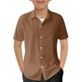 thumbnail image 1 of Zhuashum Boy T Shirt 5-6 Years Solid Color Tee Lapel Short Sleeve Tops Weekend Spring Adorable Boy Clothes Brown, 1 of 5