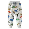 thumbnail image 1 of Zhuashum Boys Pants Animal Print Straight Leg Trousers Elastic Waist Casual Trousers Jogger Pant Fall Winter Casual Comfortable Sweatpants Grey 2-3 Years, 1 of 2
