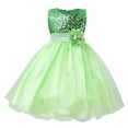 thumbnail image 1 of Zhuashum Dresses For Girls 3-4 Years Round Neck Sleeveless Solid Color Sundress Spring Retro Dress Adorable Going Out Cute Wear Green, 1 of 3