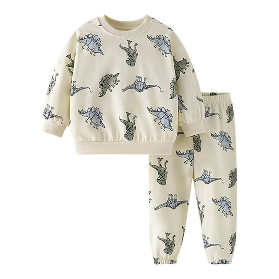 Zhuashum Outfits For Boys 4-5 Years Long Sleeve Round Neck Clothes Cartoon Dinosaur Graphic Weekend Set Hoodie And Leggings Cute Wear White