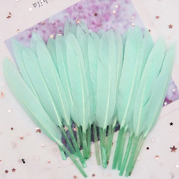 Zhuge 150 Pieces Natural Pink Feathers, 4-6 Inch Decorative Feather Supplies for DIY Crafts, Cosplay, Wedding & Party Event Decoration, Light Green