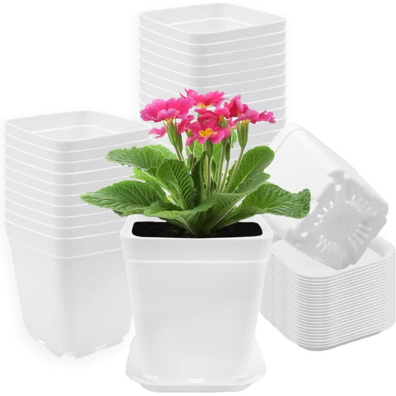 Zhuge 24 Pack Plastic Square Nursery Pots 3 Inch Plastic Plant Pots,Flower Pot with Tray Saucer for Indoor Outdoor Garden Office Decor，White