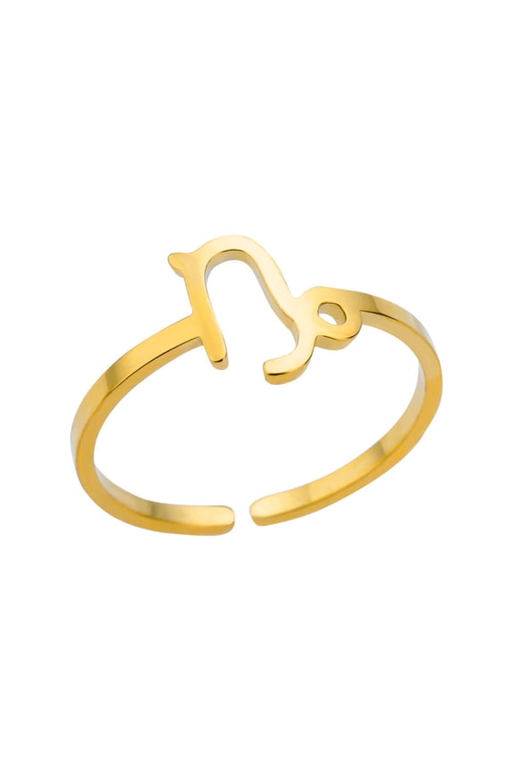 2Pcs Zodiac Sign Rings 12 Constellation Adjustable Ring Zodiac Jewelry Gift for Women，Capricorn