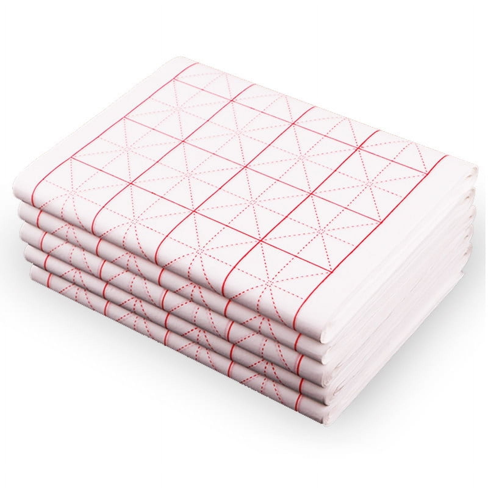 Zhuge Chinese Calligraphy Xuan Paper Brush Writing Paper Xuan Paper Rice Paper with Grids for Students, Beginners Practice Kanji Japanese Calligraphy, 100 Sheets/Pack, 9cm/Grid，28Grid，