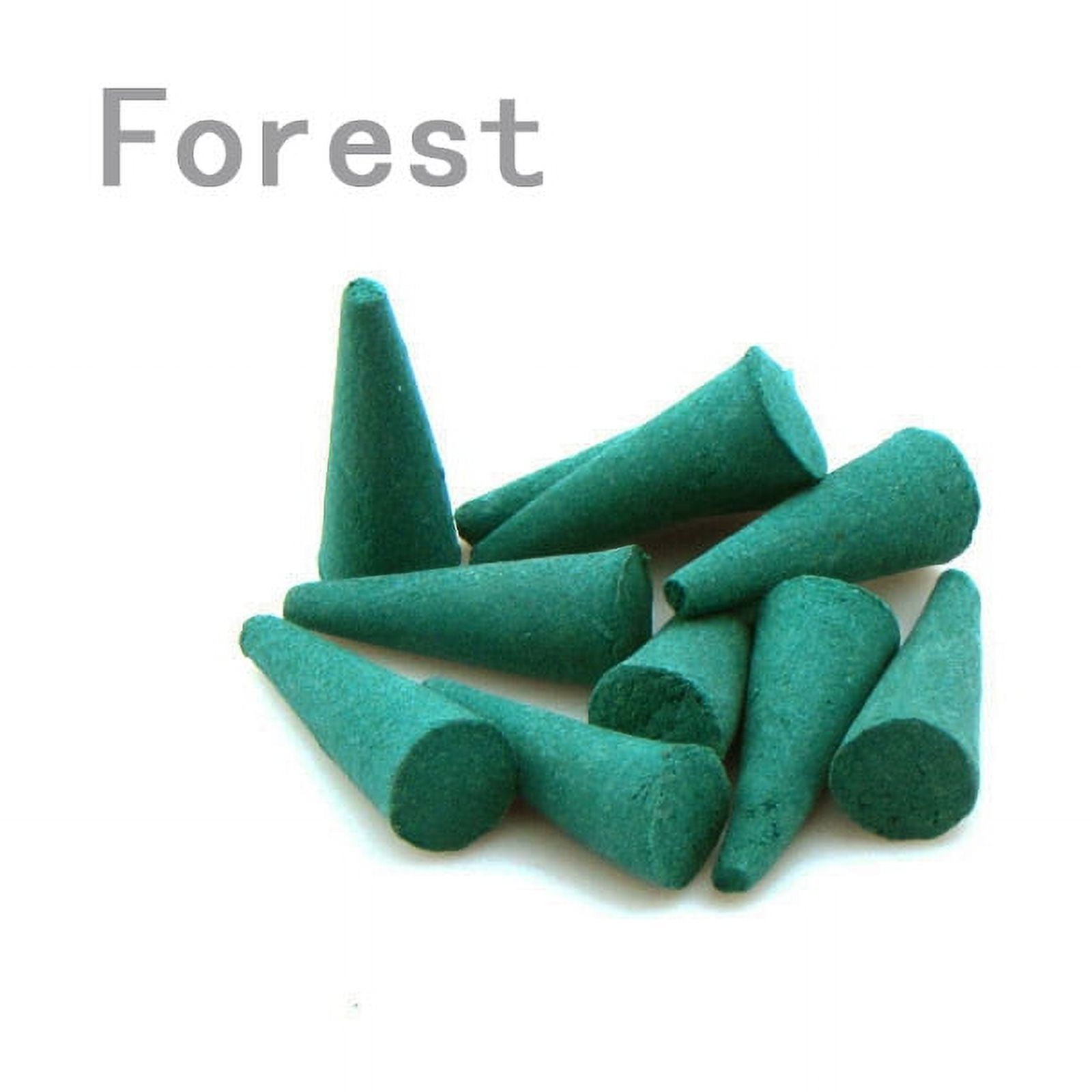 Zhuge Incense Cones 500g（Approximately 520 pcs）, Incense Cones with Incense Holder Natural Scents Cones, for Meditation, Relaxation, and Spiritual Cleansing，Forest