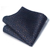 Zhuge Mens Silk Pocket Square Set Handkerchiefs-9*9inch A10