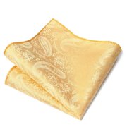 Zhuge Mens Silk Pocket Square Set Handkerchiefs-9*9inch A26