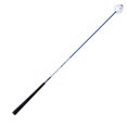 Zhuitw Golf Swing Trainer Stick Increase Swing Speed Golf Swing Motion