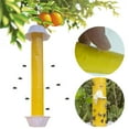Zhuitw Home Bug Sticky Traps NonToxic Bait Sticky Trap for Flies Gnats