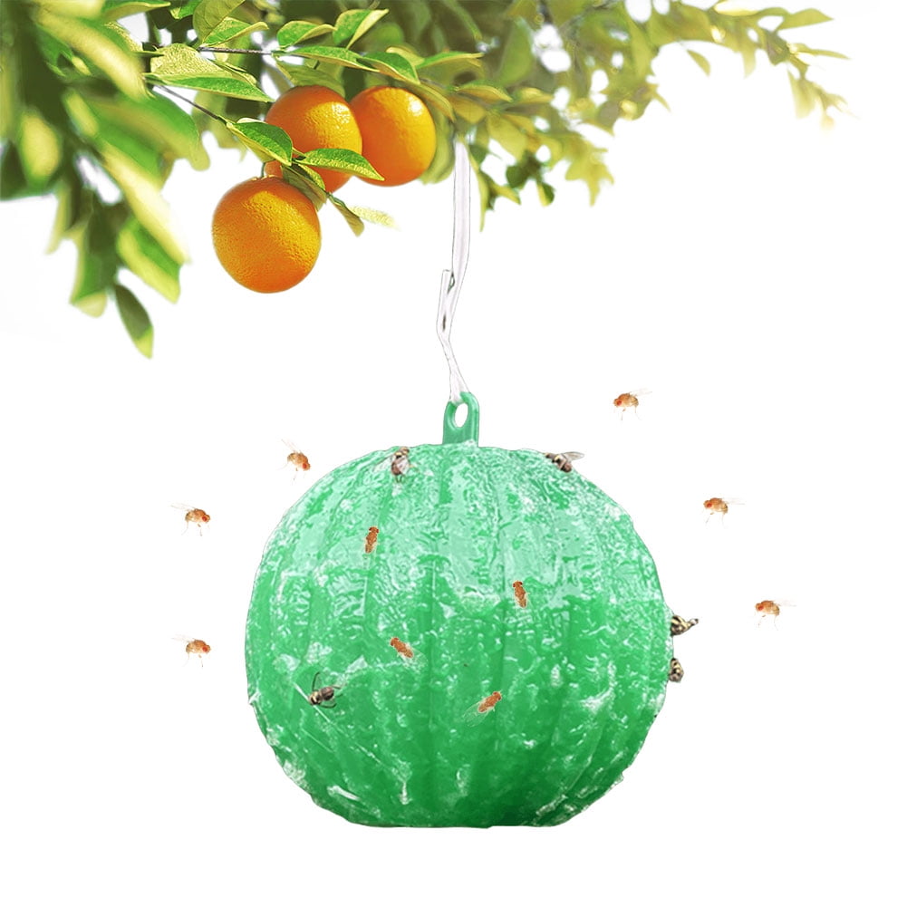 Zhuitw Sticky Fruit Fly Trap Ball Flying Insect Bug Pest Gnat Traps