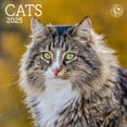 Ziga Media, Cats 2025 Mini Wall Calendar