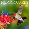 Ziga Media Hummingbirds 2025 Mini Wall Calendar Walmart ziga-media-hummingbirds-2025-mini-wall-calendar-walmart