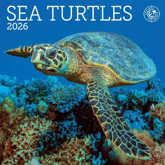 Ziga Media, Sea Turtles 2026 Mini Wall Calendar, 7'' X 7'', 16-Month Calendar with Stapled Binding