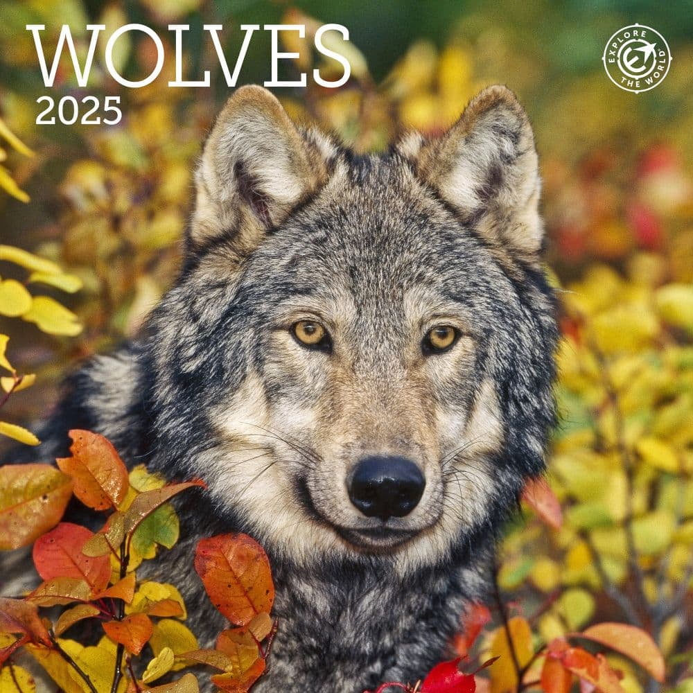 Ziga Media, Wolves 2025 Mini Wall Calendar