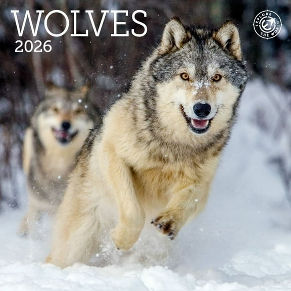 Ziga Media, Wolves 2026 Mini Wall Calendar, 7'' X 7'', 16-Month Calendar with Stapled Binding