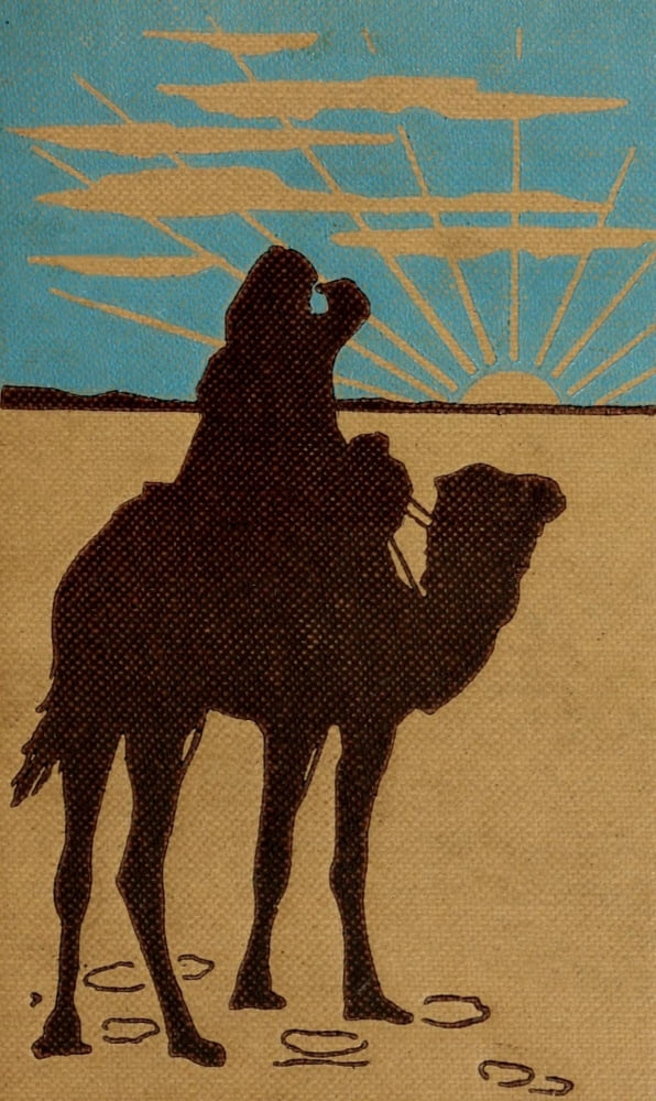 Zigzag journeys in the Camel Country 1911 Camel silhouette Canvas Art - Unknown (24 x 36)
