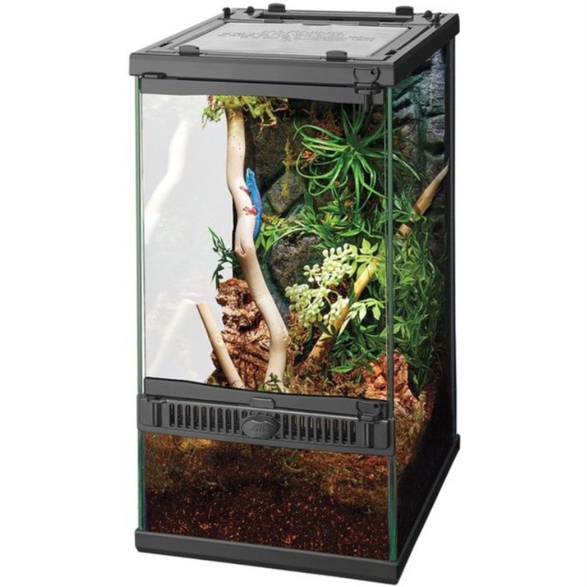 Zilla Front Opening Terrarium with Realistic Rock Foam Background 8"L x