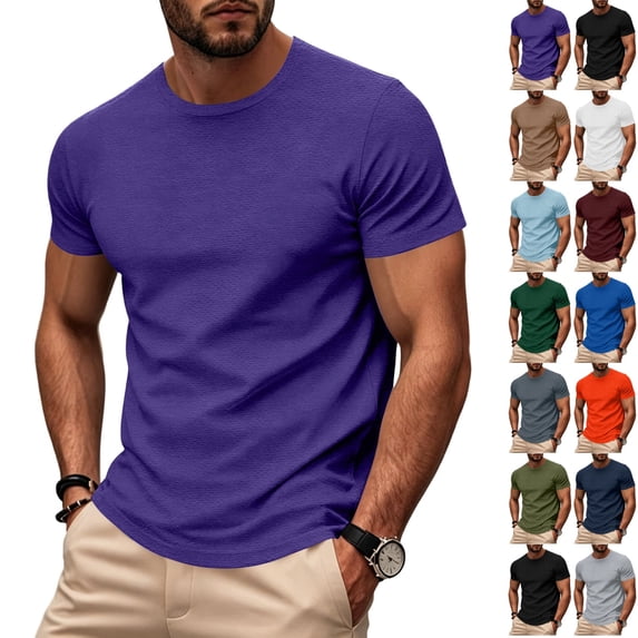 Zimjoy Men's Crew Neck T Shirts Short Sleeve Quick Dry Athletic Performance Tee Soft Breathable Moisture Wicking Casual Basic Tees Purple L
