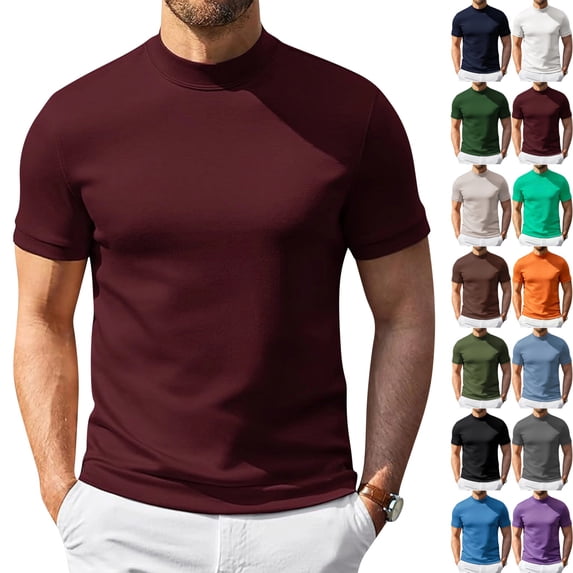 Zimjoy Men's Short Sleeve T Shirts Lightweight Soft Cotton Moisture Wicking Casual Basic Tees Comfort Stretch Athletic Performance Tee Wine L