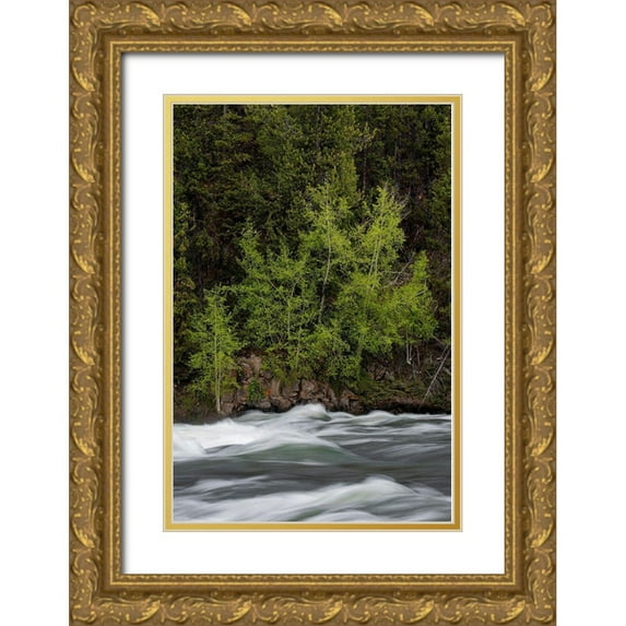Zimmerman, Judith 11x14 Gold Ornate Wood Framed with Double Matting Museum Art Print Titled - Wyoming Budding trees-La Grange Cascade-Yellowstone National Park