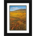 thumbnail image 1 of Zimmerman, Judith 23x32 Black Ornate Wood Framed with Double Matting Museum Art Print Titled - California Fields of California Poppy-Goldfields with clouds-Antelope Valley, 1 of 4