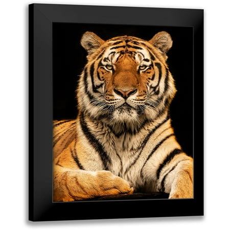 Zimmermann, Jorg 12x14 Black Modern Framed Museum Art Print Titled - I C U