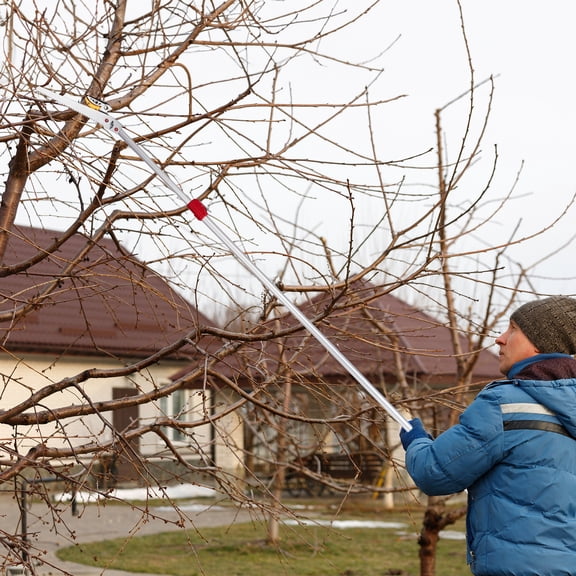 Zimtown Silver Aluminum Pole Saw, 7.55FT Max Reach Extendable Trimmer with Non-Slip Grip Handle