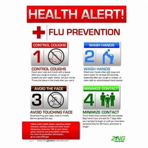 Zing Flu Poster, 22 in H x, 16 in W, Plastic 5011