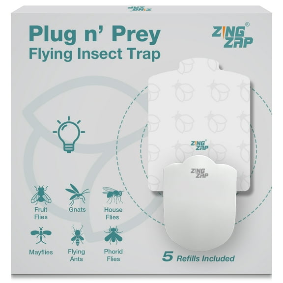 ZingZap Flying Insect Trap Dual Attractant Positive Phototaxis + Unscented, 50% Faster Captures House Flies, Fruit Flies, Gnats, Moths, 1 Plug-in Station+ 5 Biodegradable Trap Refills