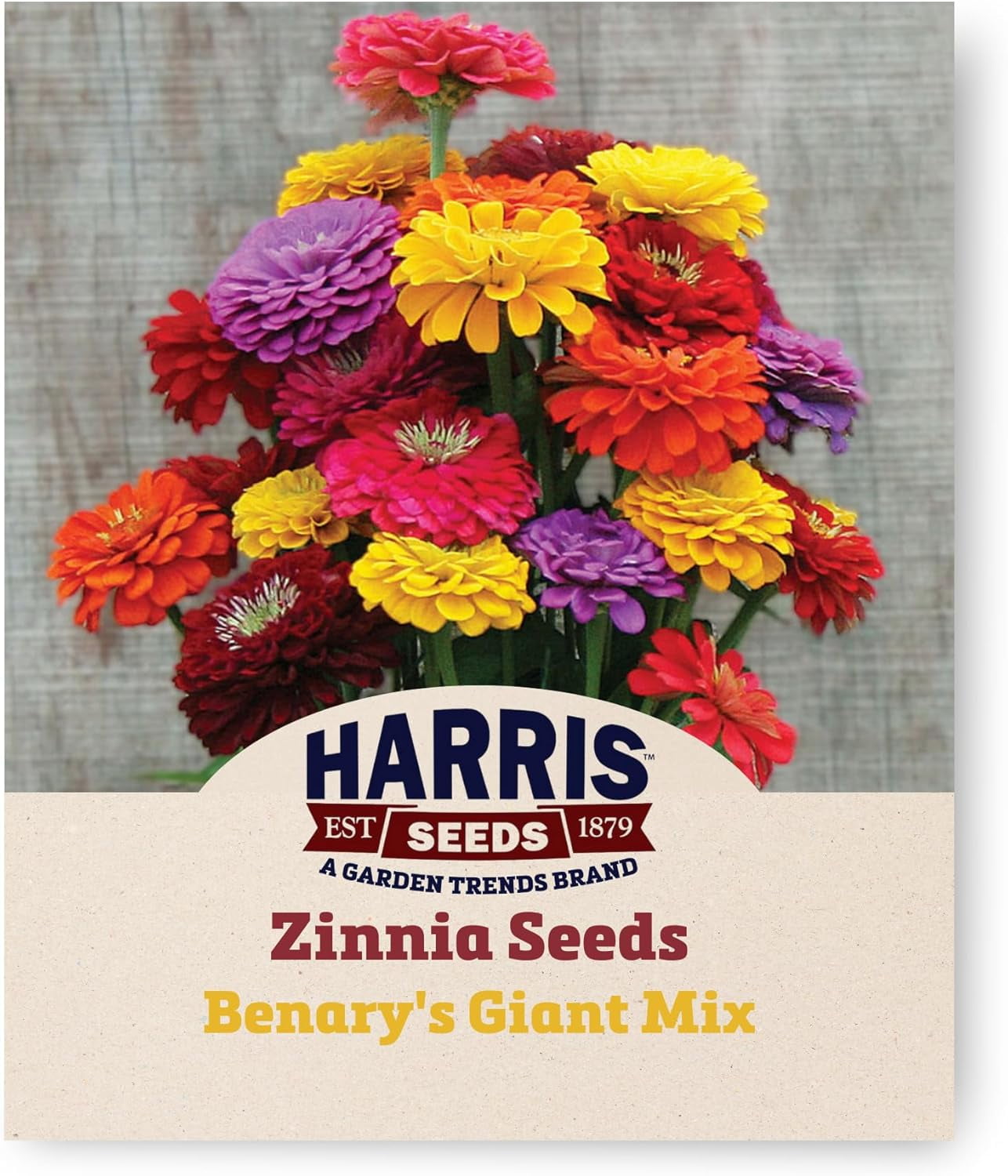 Harris Seeds Zinnia Benary's Giant Mix Colorful Flowers AllYear