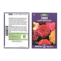 Zinnia Flower Garden Seeds - Lilliput Mix - 2 g Packet - Annual Flower Gardening Seed