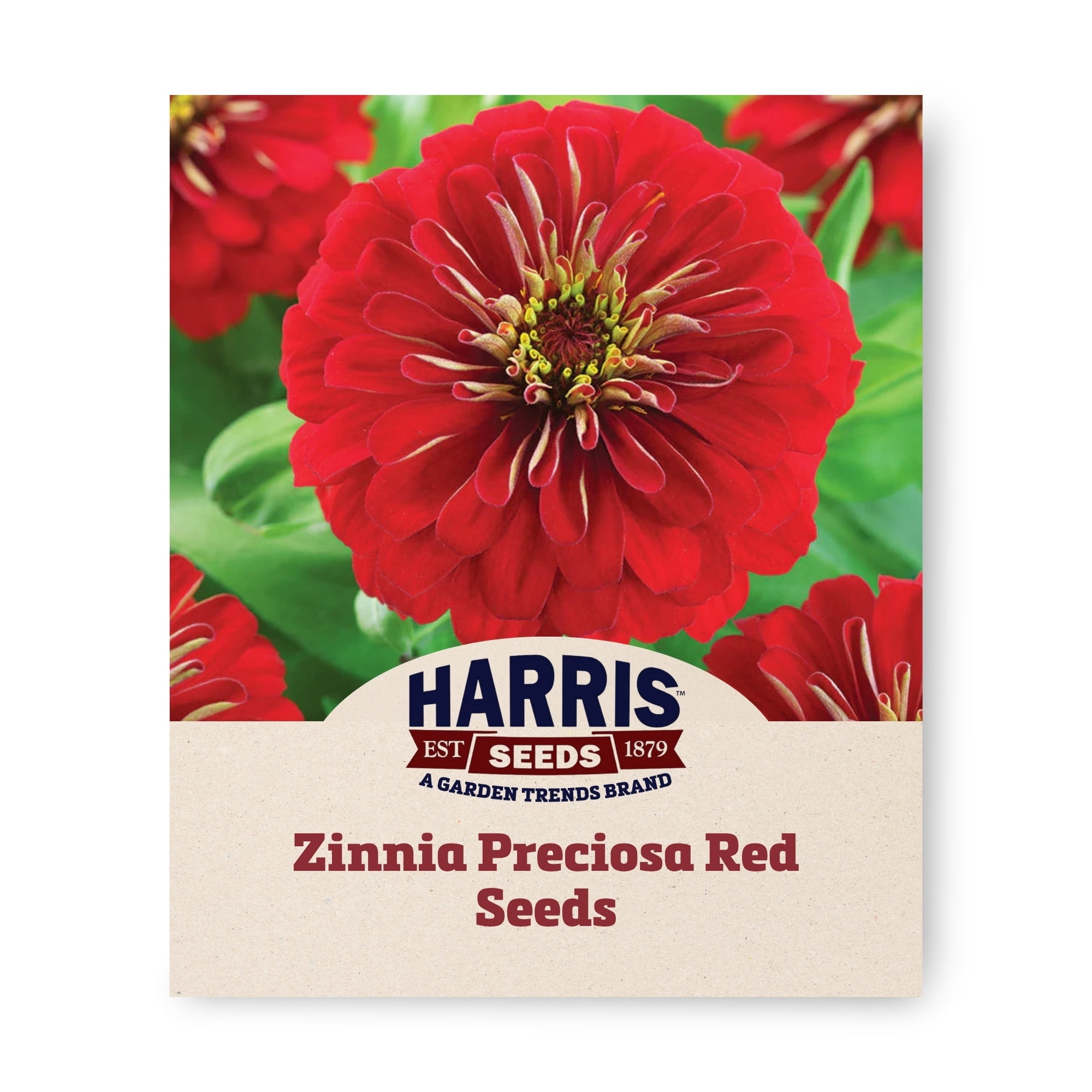 Harris Seeds Zinnia Preciosa Red F1, Double Red Compact Zinnia, 250 Count