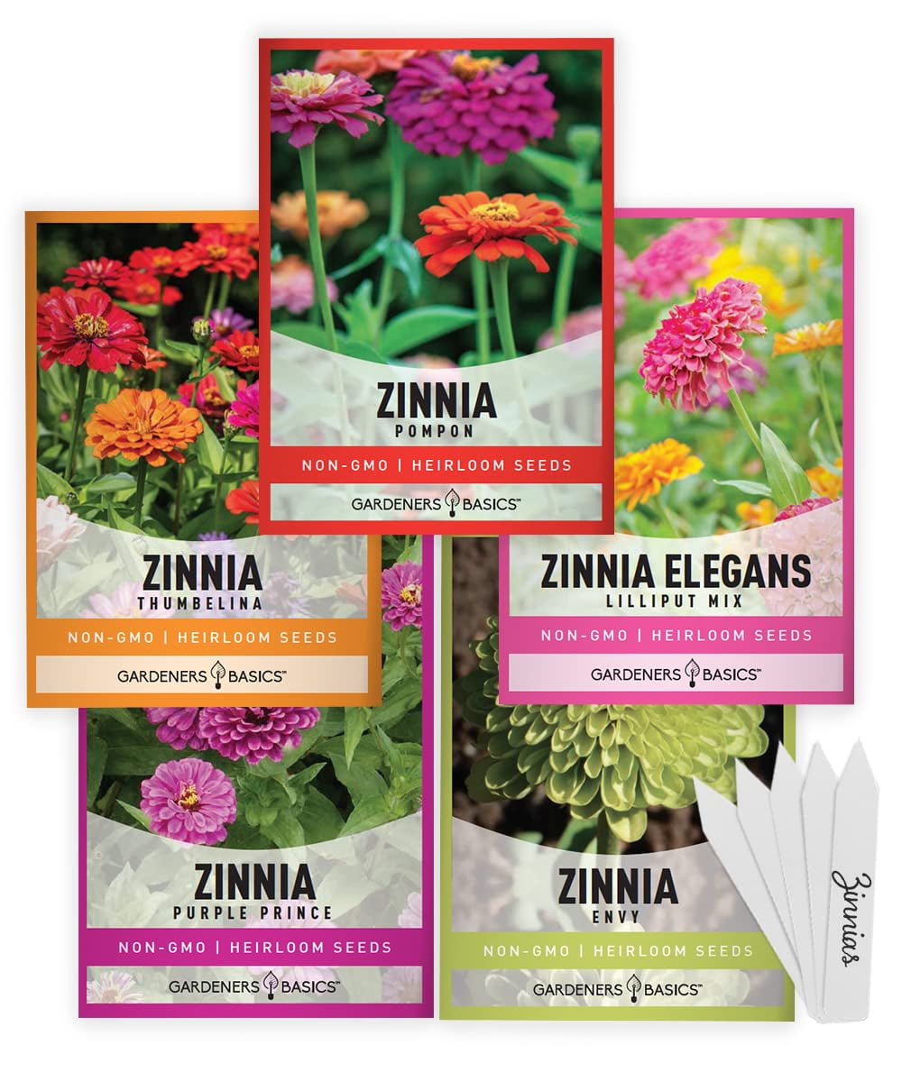 Zinnia Seeds for Planting Outdoors Flower Seeds (5 Variety Pack