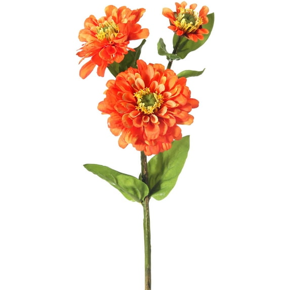 Zinnia Spray X3 24"-Orange