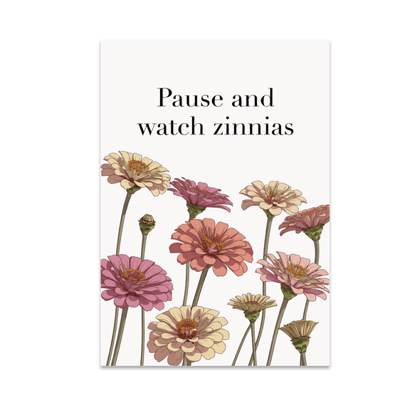 Zinnia Tranquility Decor - Nature Enthusiast - 13x19 Poster Print