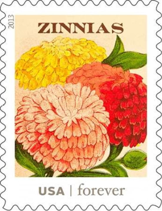 Zinnias Canvas Art - US POSTAL SERVICE (22 x 28)