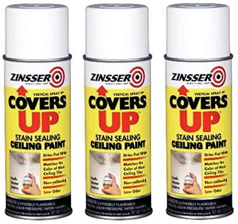 Zinnser 03688 Covers Up Stain Sealing Ceiling Paint, White hr Pck