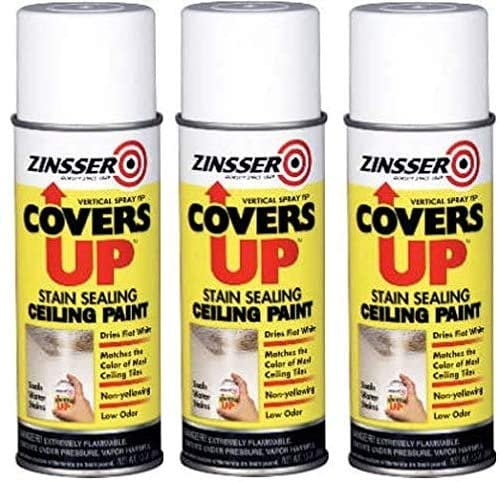 Rust-Oleum Covers Up Ceiling Stain Cover Up Spray - Stain Resistant - 3 Pack, White