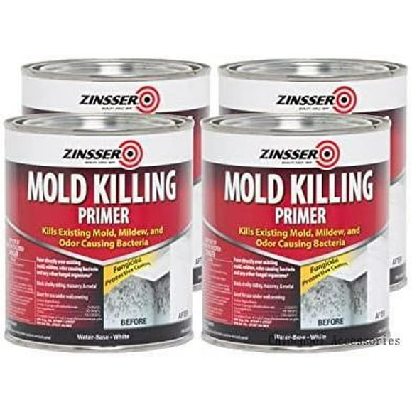Zinsser Mold Killing Paint