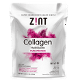 Zint PaleoFriendly Collagen Hydrolysate Pure Protein Powder, 16 Oz