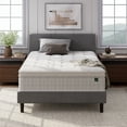 Zinus Euro Top 13" Hybrid of Comfort Foam and Pocket Spring Mattress