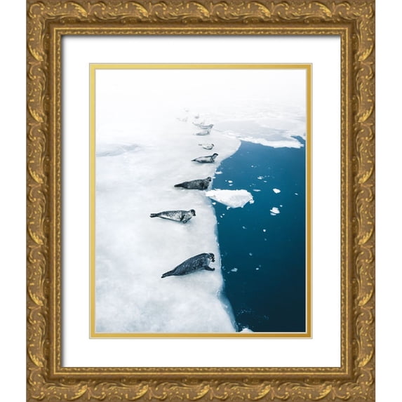 Ziomek, Witold 12x14 Gold Ornate Wood Framed with Double Matting Museum Art Print Titled - Seal Gang