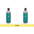 thumbnail image 1 of Zion Health Adama Minerals Shampoo - White Coconut - 16 Fl Oz - 2 Pack, 1 of 1