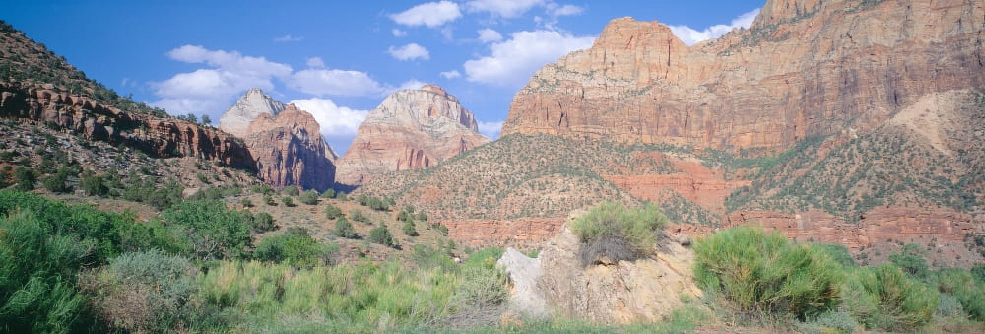 Zion National Park Spring Southern Utah Canvas Art - Panoramic Images (27 x 9)