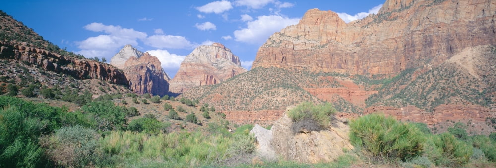 Zion National Park Spring Southern Utah Canvas Art - Panoramic Images (36 x 12)