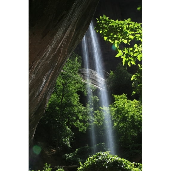 Zion National Park, Utah, Usa. Poster Print (12 x 19)