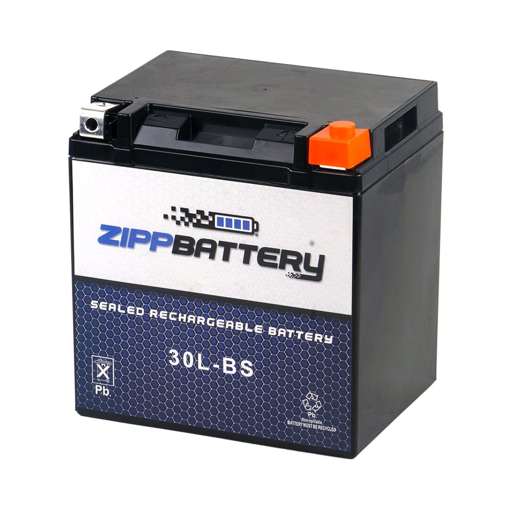 Zipp Battery Ytx30LBs Motorcycle Battery for HarleyDavidson Flh, Flt