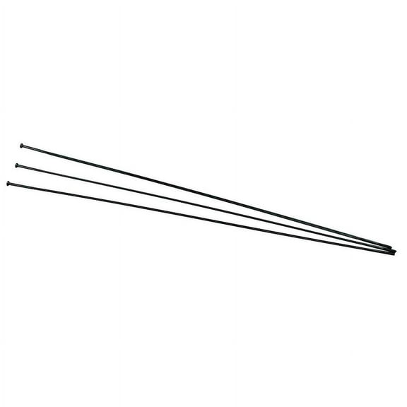 Zipp Sapim CX-Ray Black Straight pull spokes, Pack of 3, 278mm